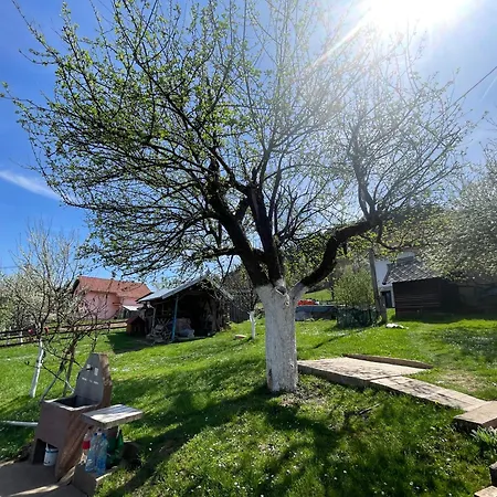 Medi Apartamento